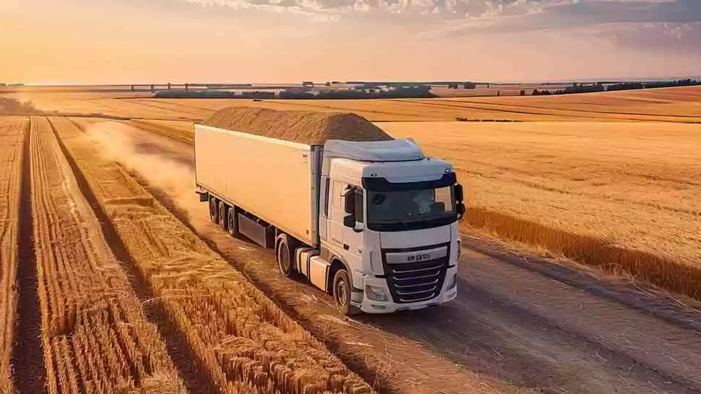 O Melhor Caminhão Para Transporte de Grãos.